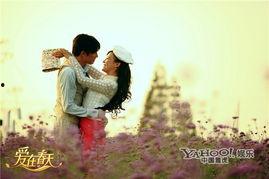 爱在春天全集在线观看,浪漫邂逅，青春旋律  第1张