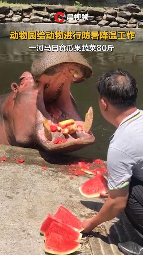 神秘吃瓜全过程免费观看,全程免费观看，揭秘幕后真相  第3张